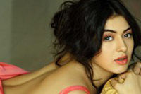 Hansika Motwani Spicy Photos